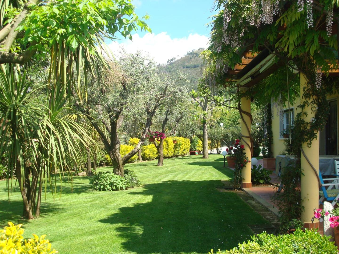 Villa con giardino a Montignoso