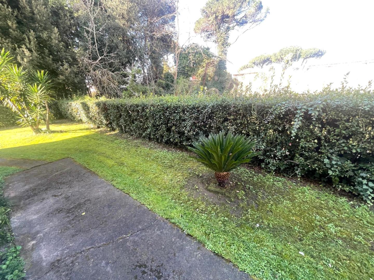 Trilocale in vendita, Massa ronchi