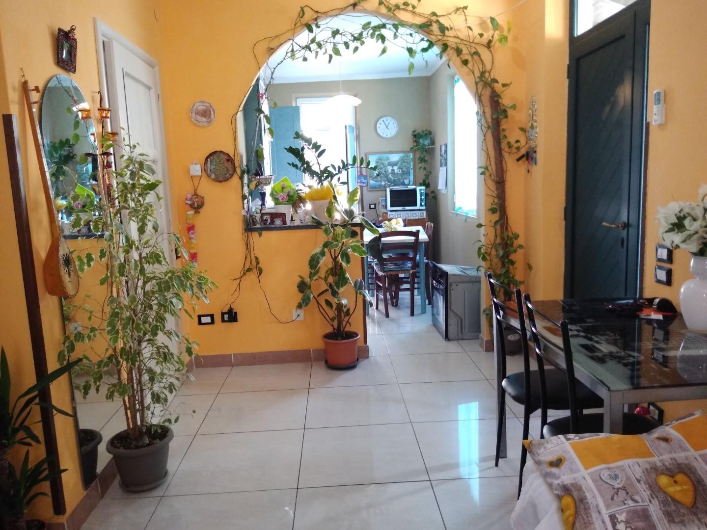 Casa indipendente in vendita, Carrara avenza