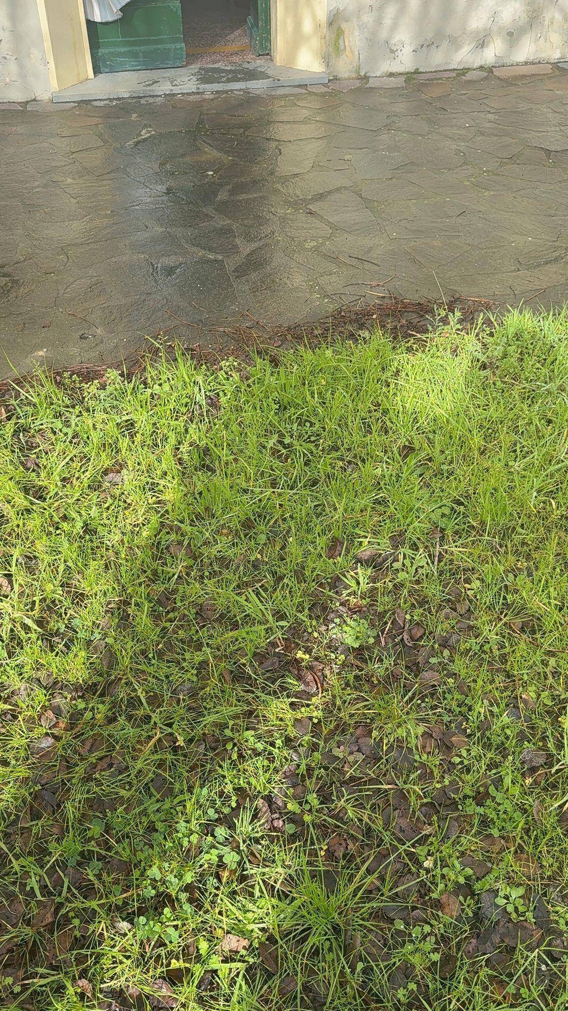 Casa indipendente da ristrutturare a Camaiore