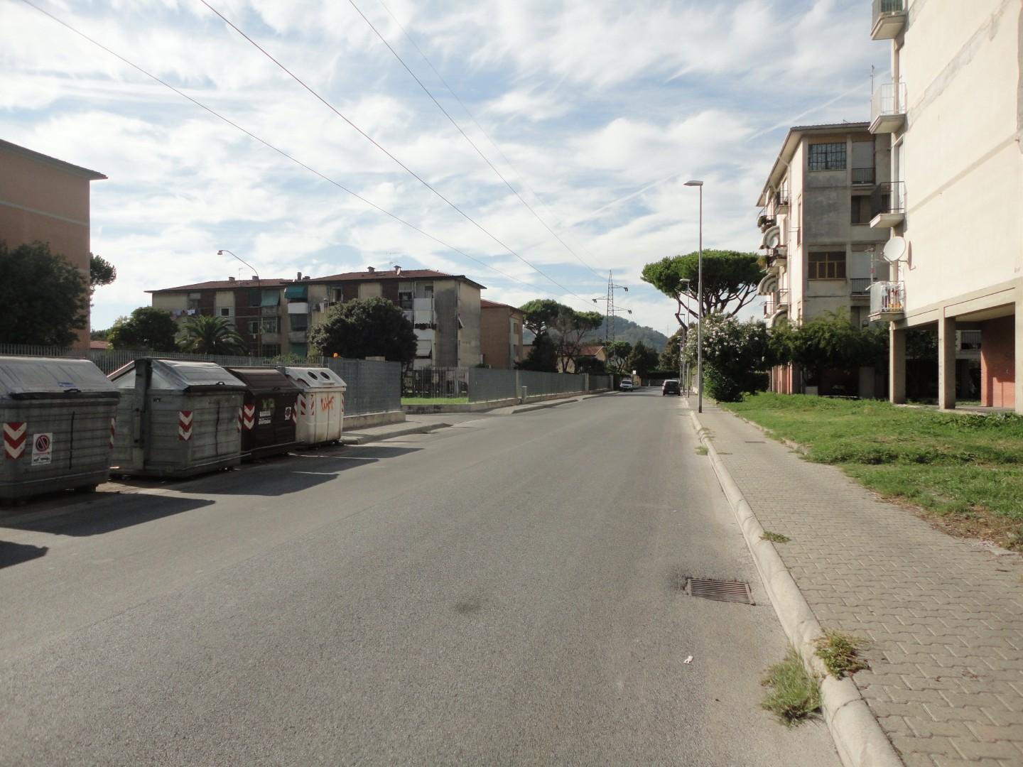 Negozio in affitto, Carrara avenza