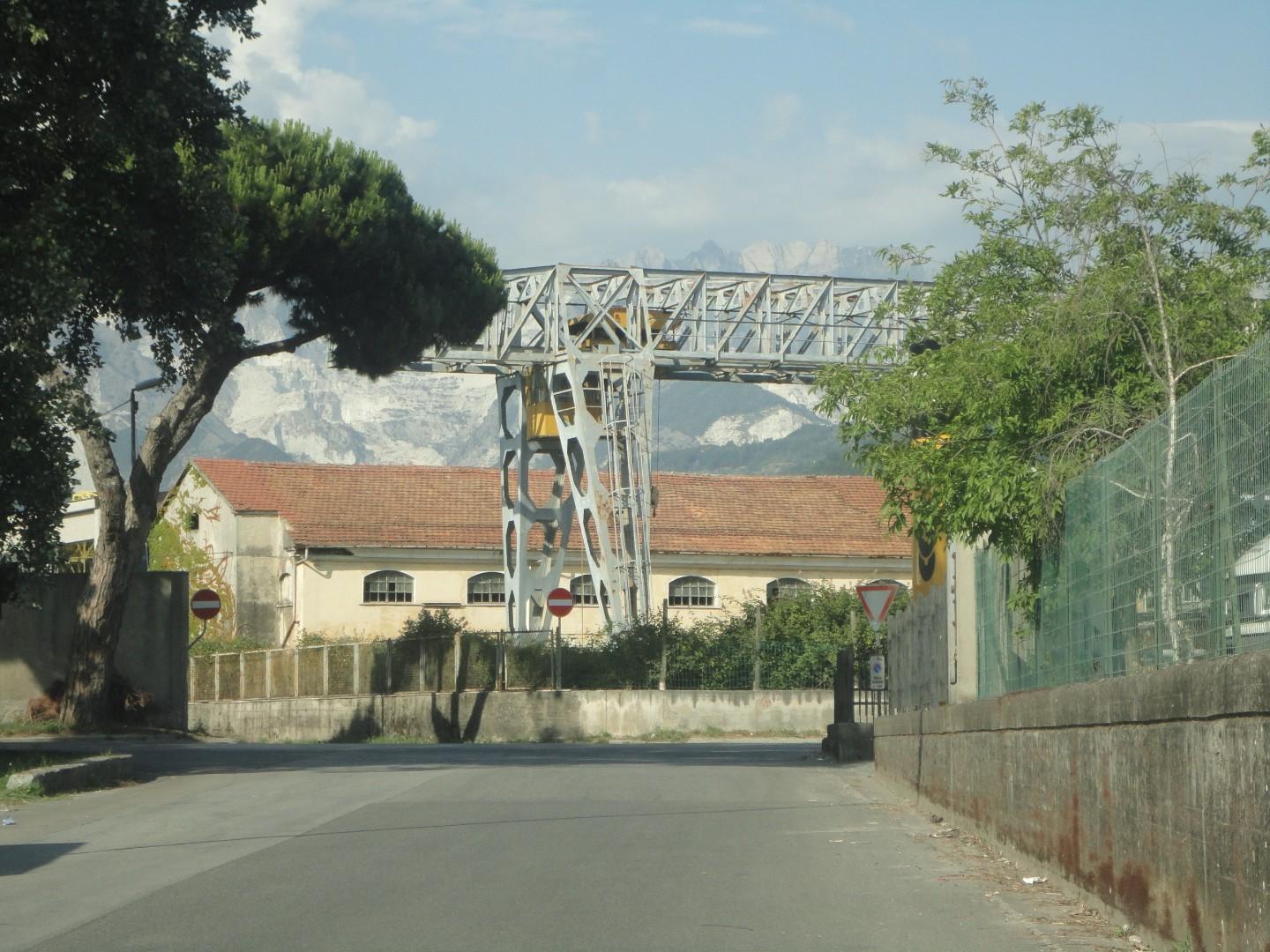 Negozio in affitto, Carrara avenza