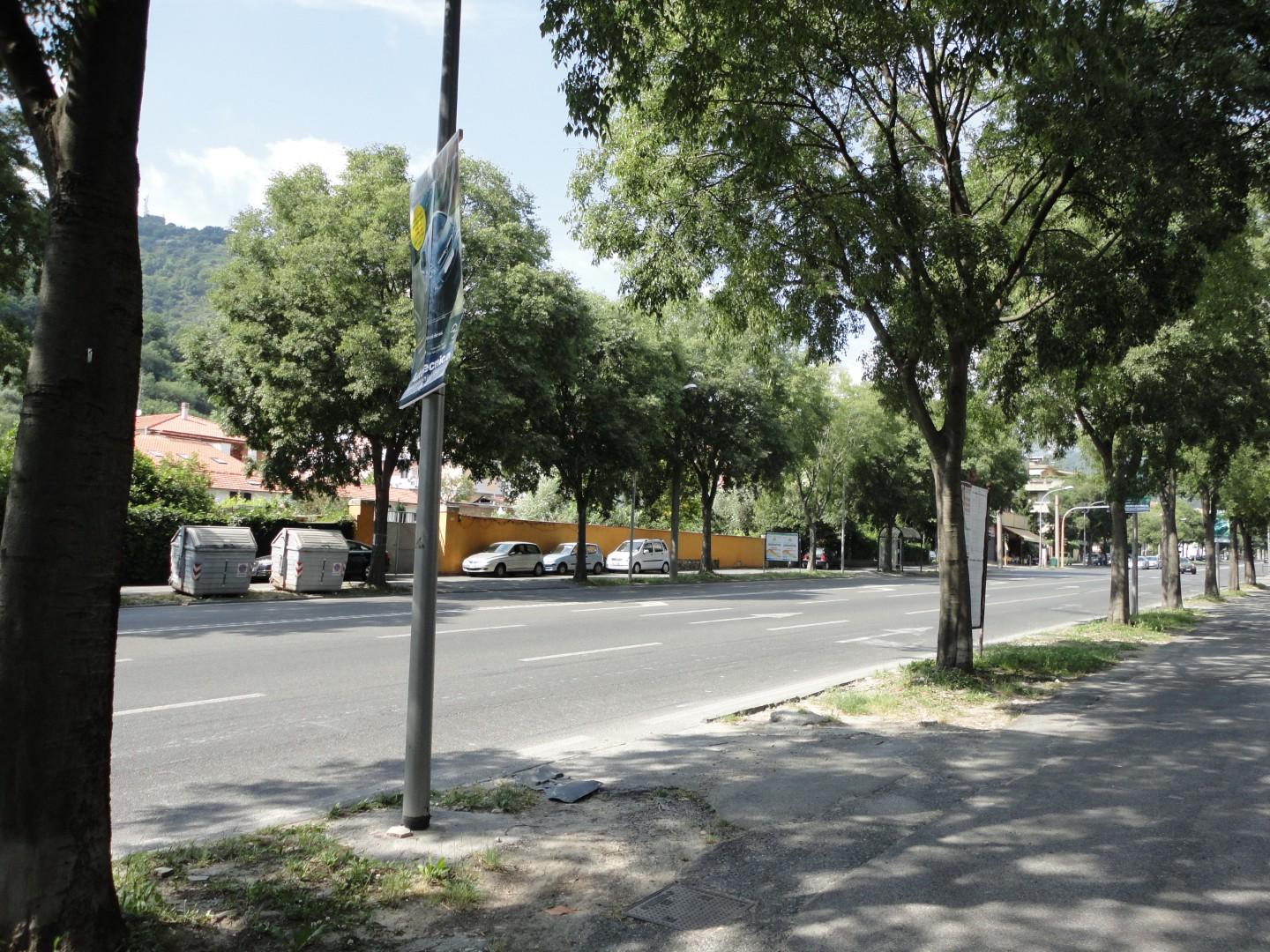Negozio in affitto, Carrara avenza
