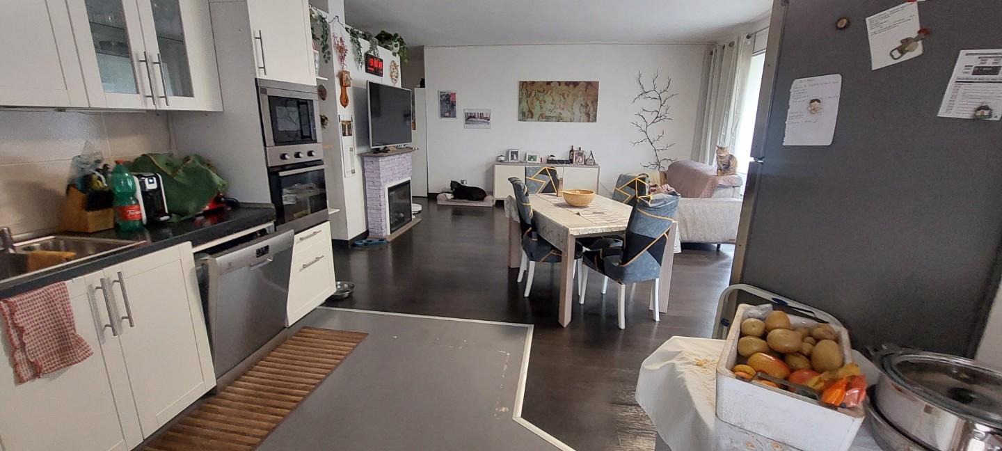 Attico con terrazzi, Carrara fabbrica