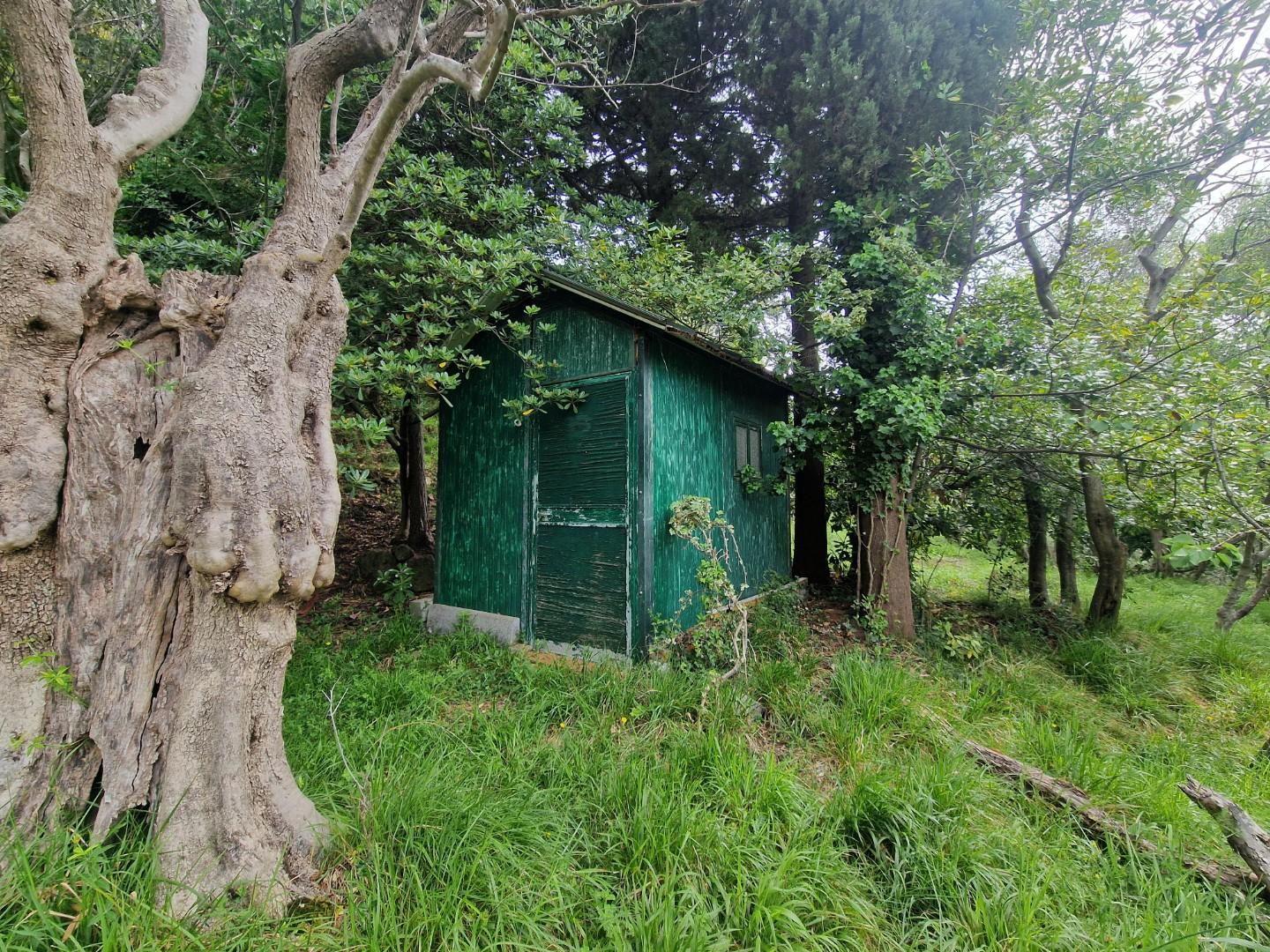Terreno Agricolo in vendita, Ortonovo casano