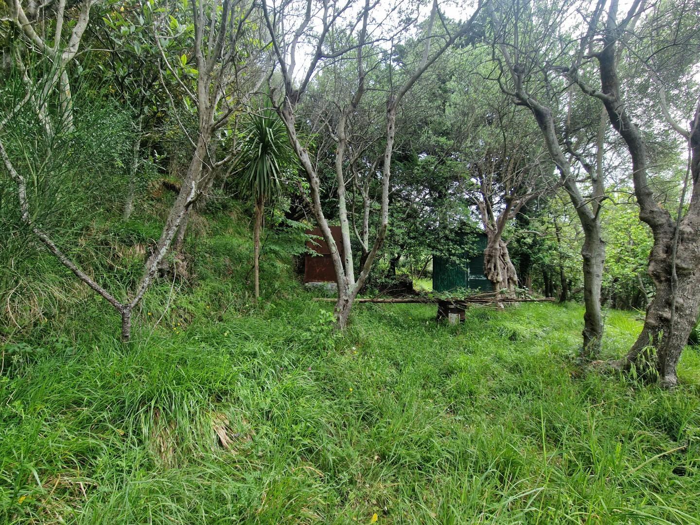 Terreno Agricolo in vendita, Ortonovo casano