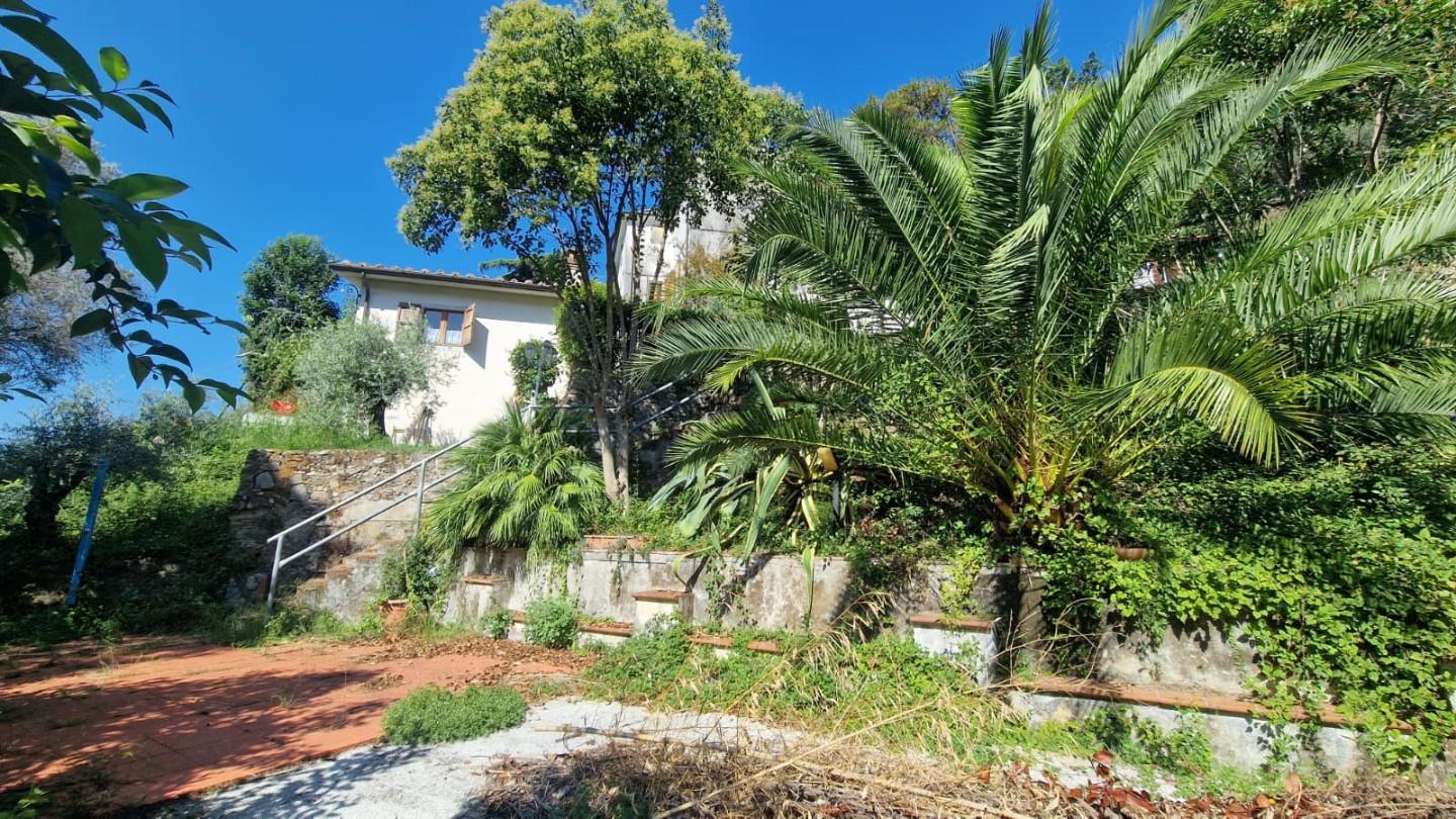 Rustico con giardino, Carrara ficola