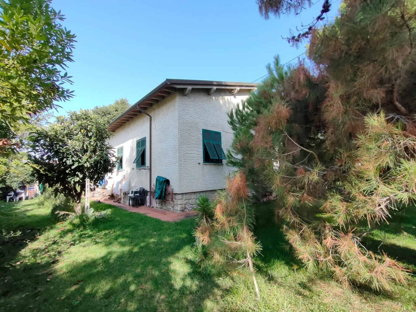 immagine annuncio 3 di 6