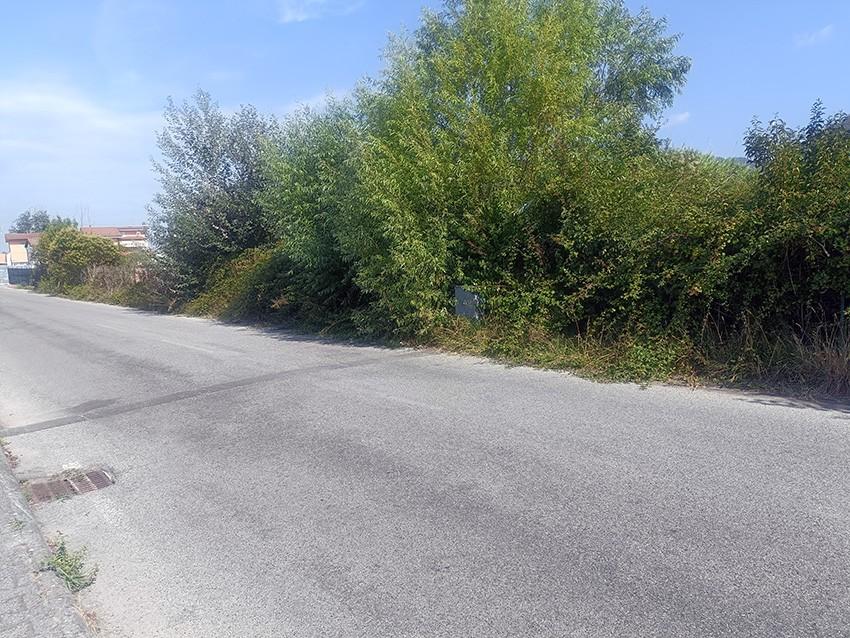 Terreno Agricolo in vendita, Carrara fossone