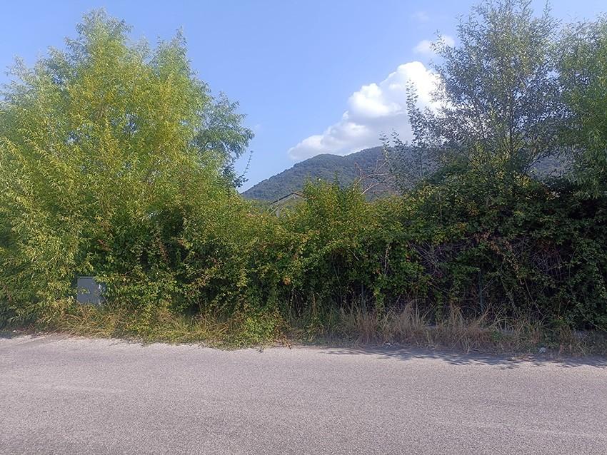 Terreno Agricolo in vendita, Carrara fossone