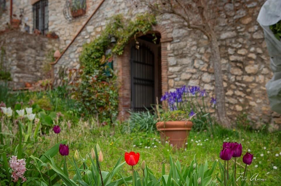 Rustico con giardino, Lucca farneta