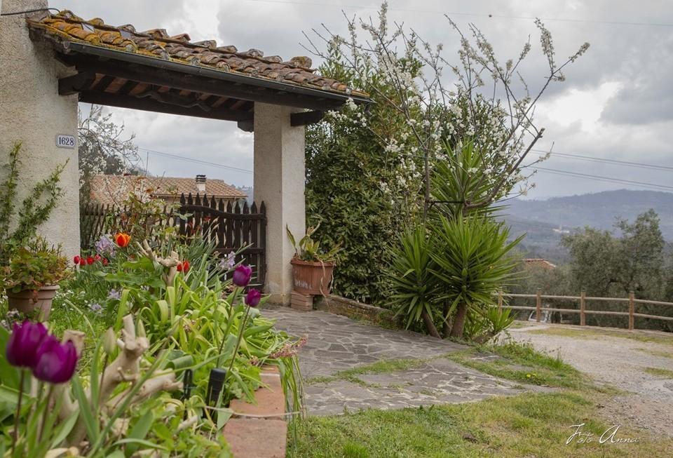 Rustico con giardino, Lucca farneta