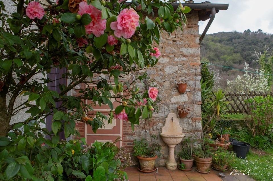 Rustico con giardino, Lucca farneta