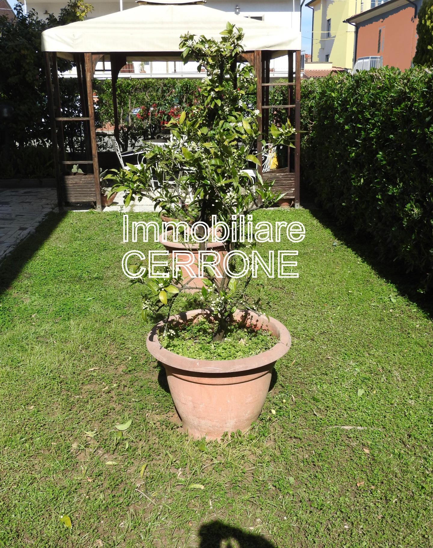 Casa indipendente con giardino, Cecina san pietro in palazzi