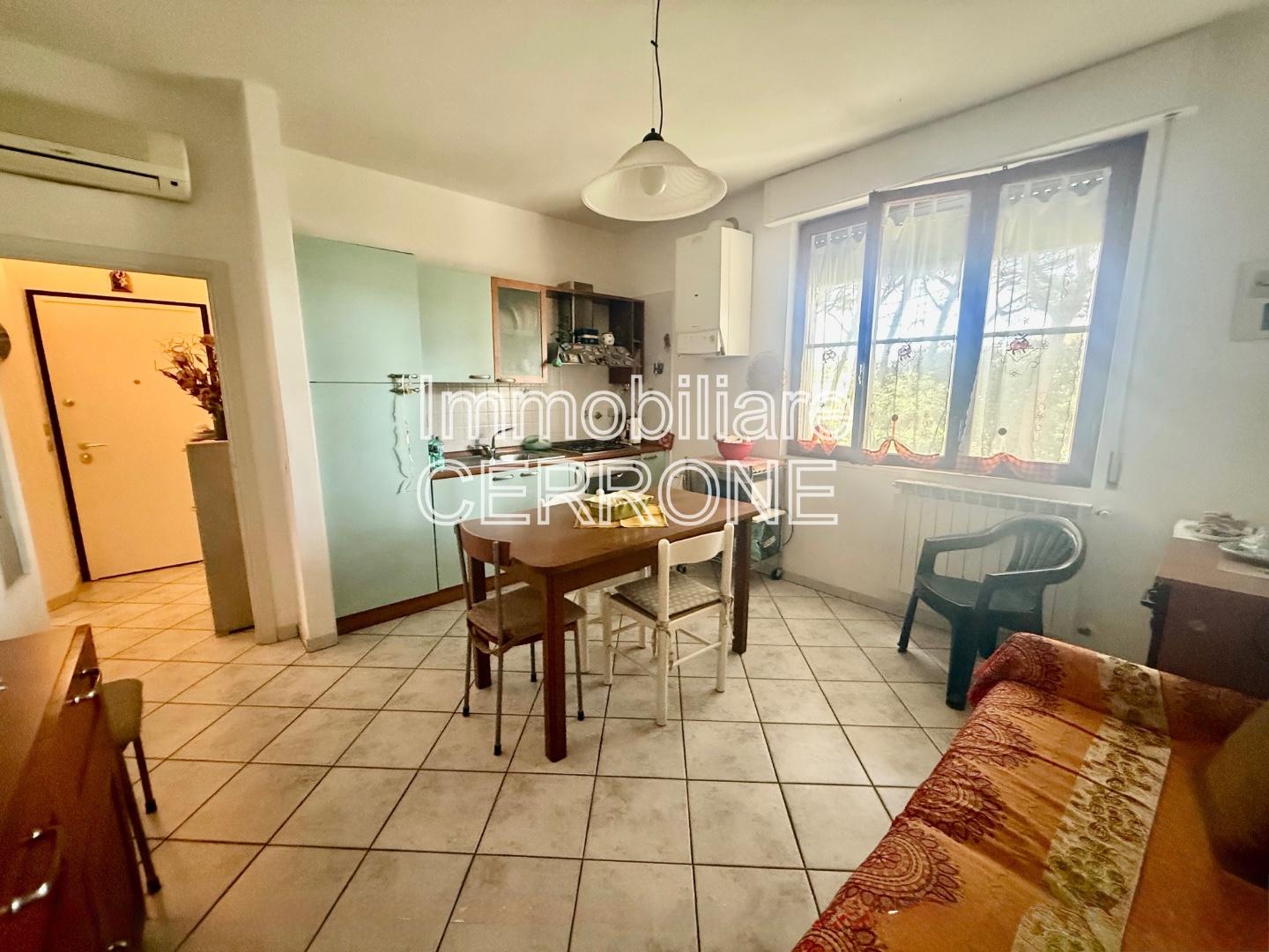 Bilocale in vendita, Cecina marina