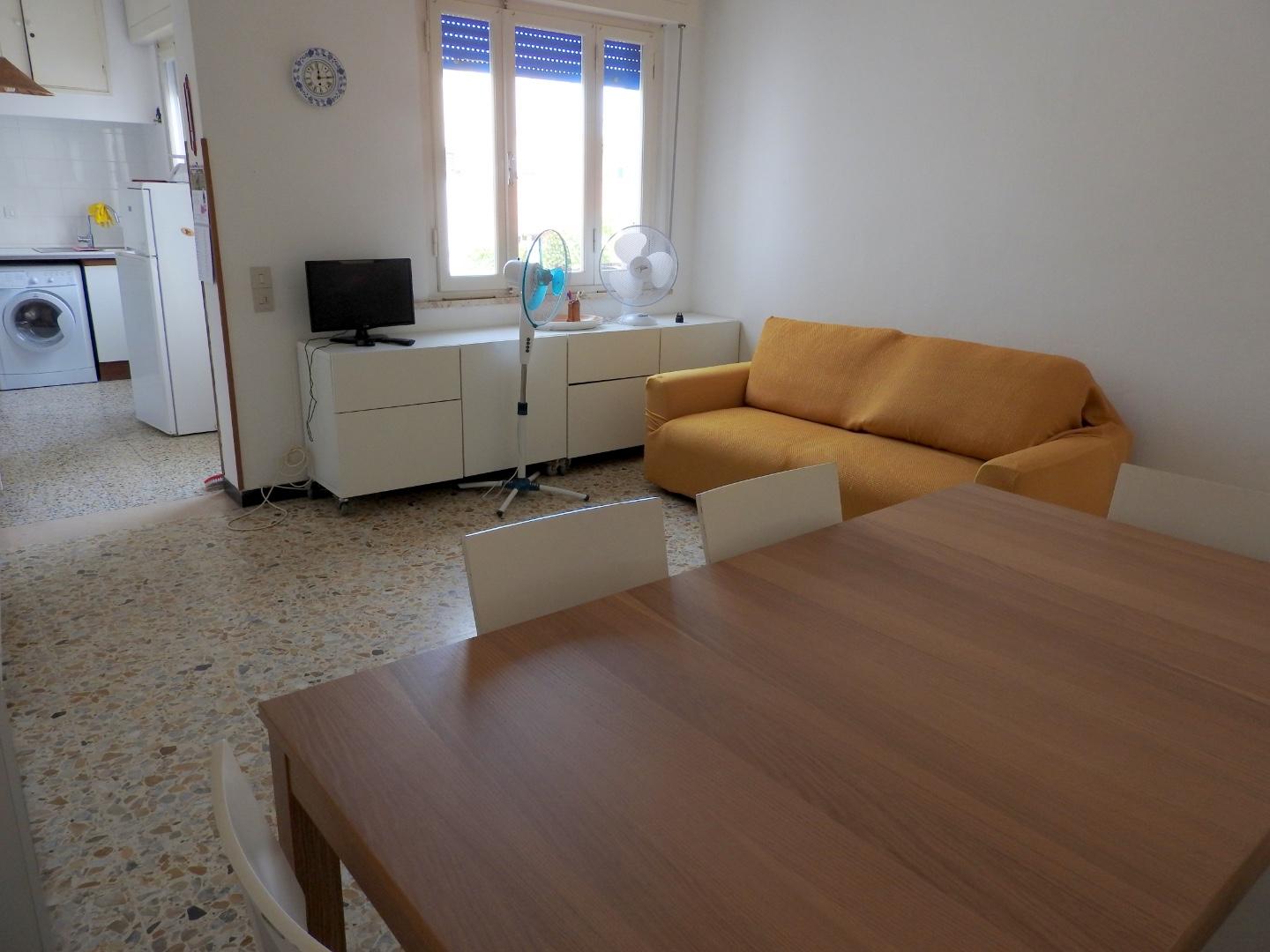 Bilocale arredato in affitto, Cecina marina