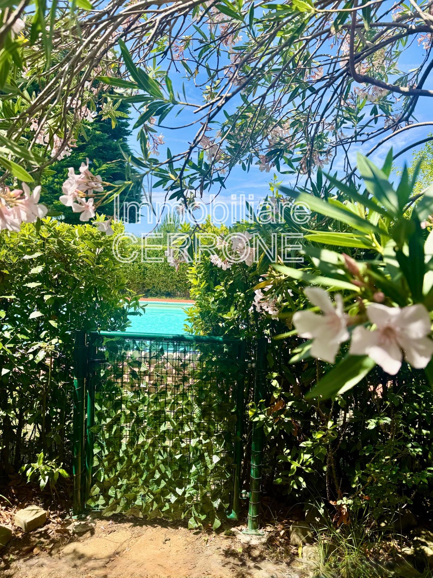 Monolocale con giardino, Cecina marina