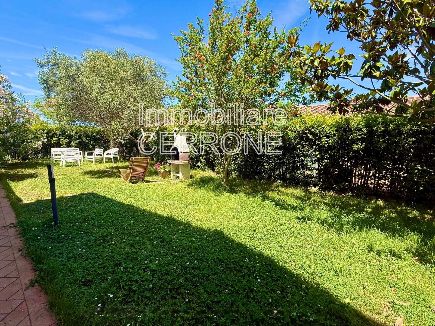 Monolocale con giardino, Cecina marina