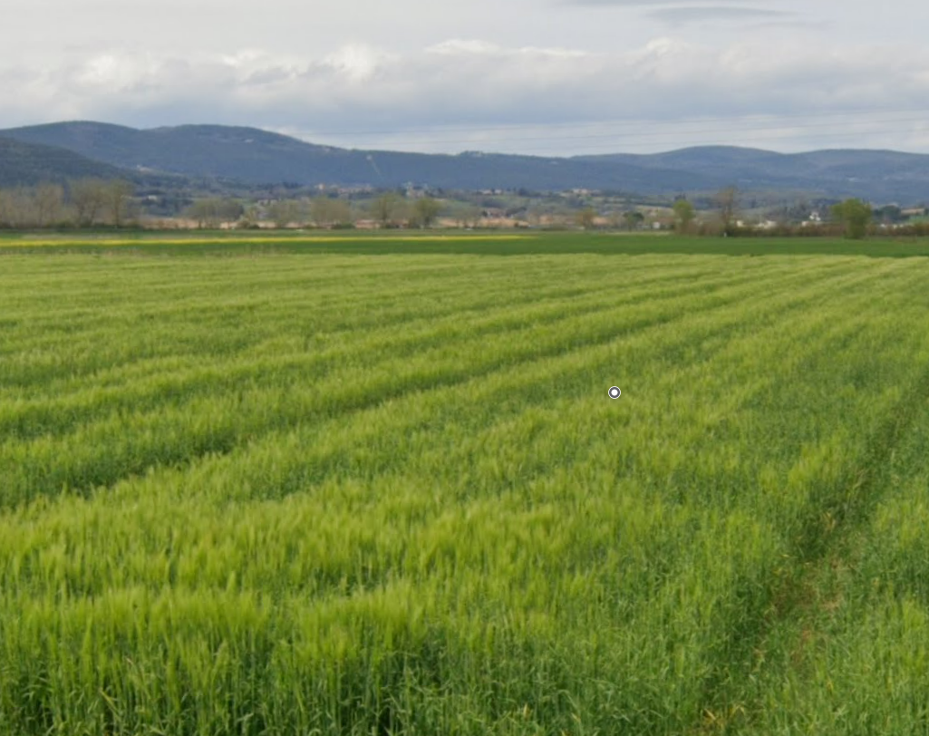 Terreno Agricolo in vendita, Sovicille san rocco a pilli