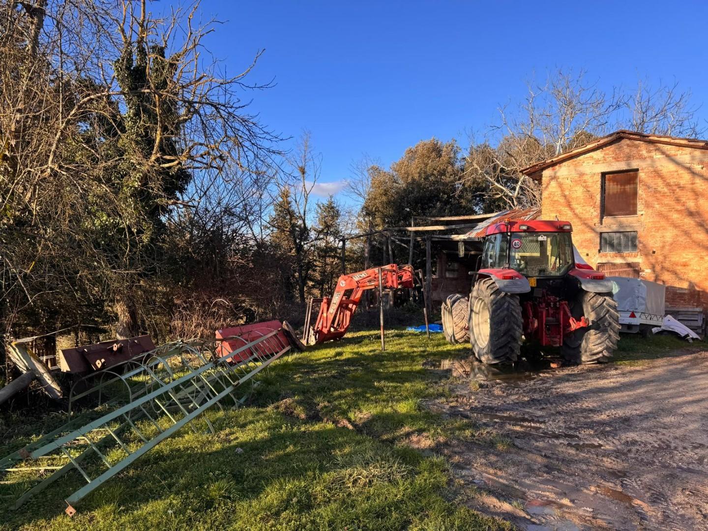 Rustico con giardino, Siena fogliano grosso