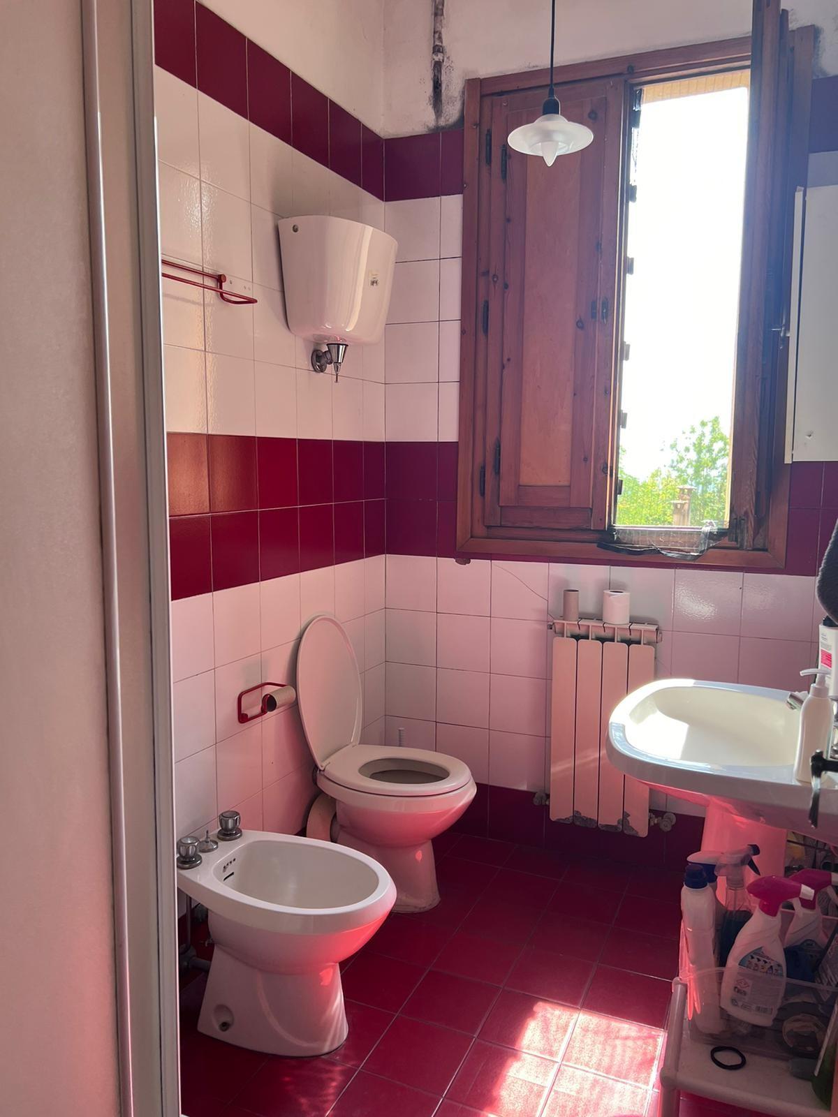 Stanza Singola in affitto, Siena centro storico