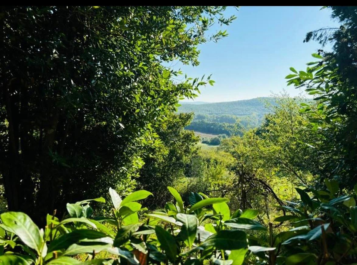 Casa indipendente arredata in affitto, Chiusdino ciciano