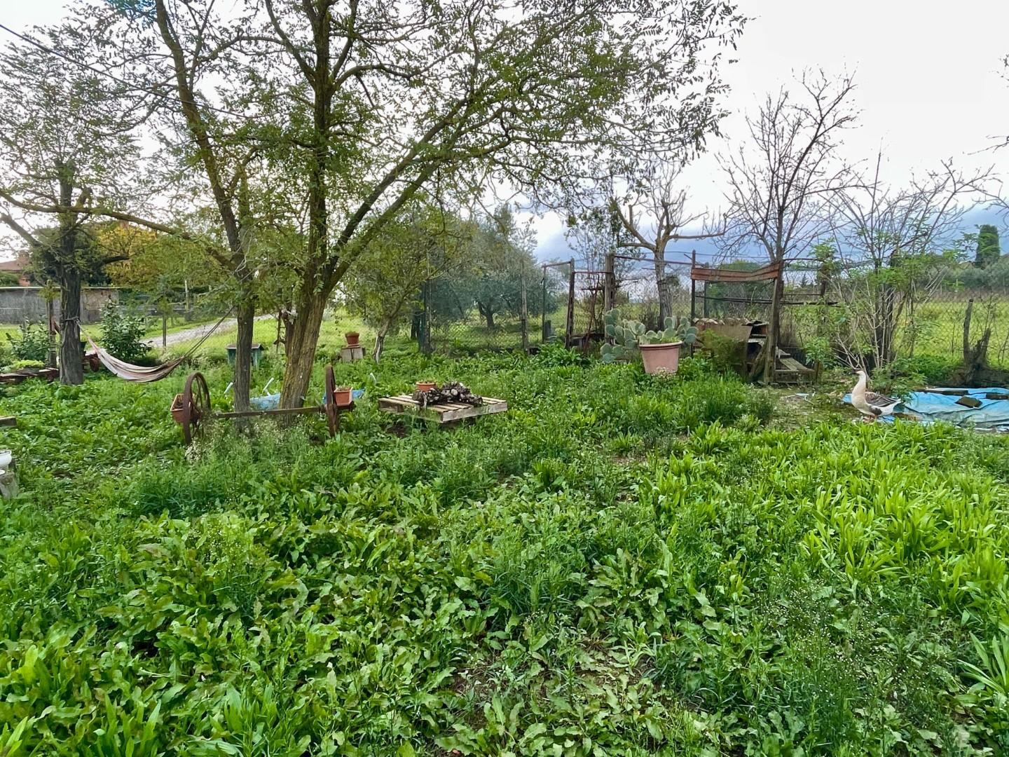 Terreno Agricolo in vendita, Castelnuovo Berardenga casetta