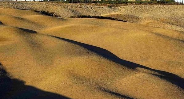 Terreno Agricolo in vendita a Asciano