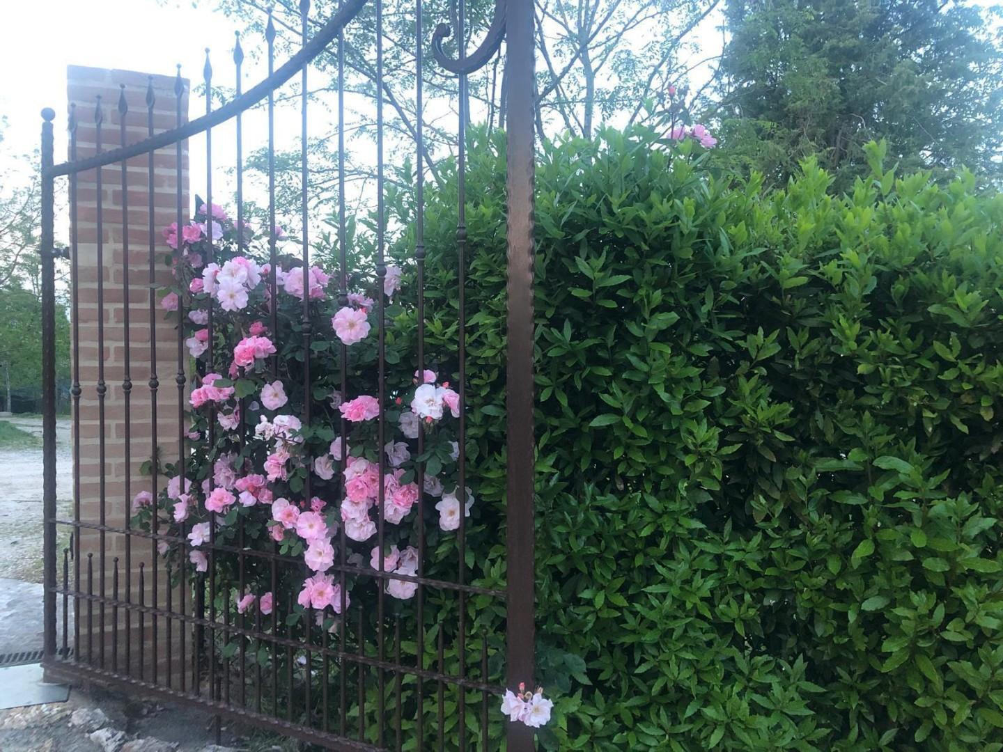 Villa con giardino a Siena