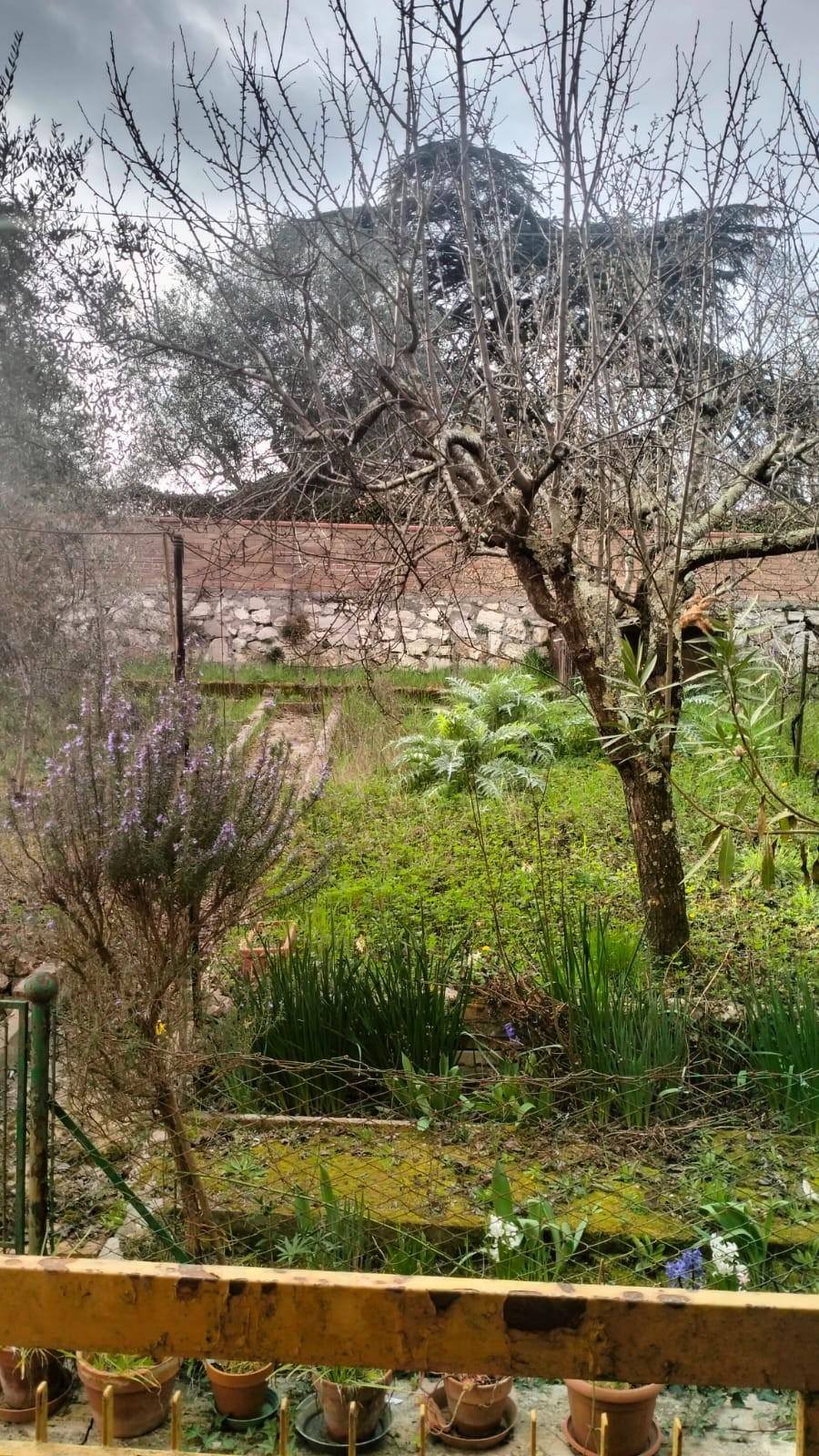 Quadrilocale con giardino a Siena
