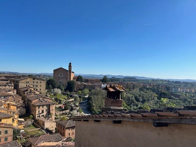Appartamento con terrazzo a Siena