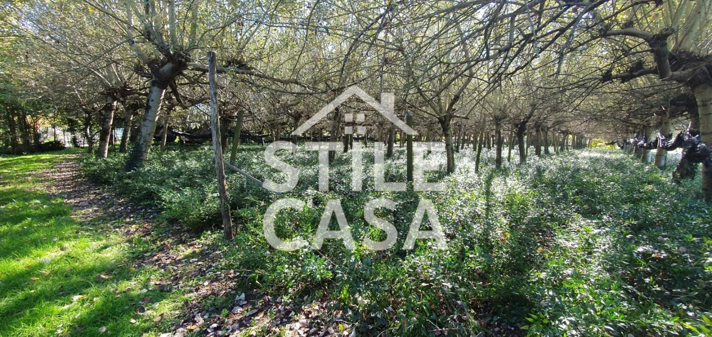 Terreno Agricolo in vendita, Capannori segromigno in piano