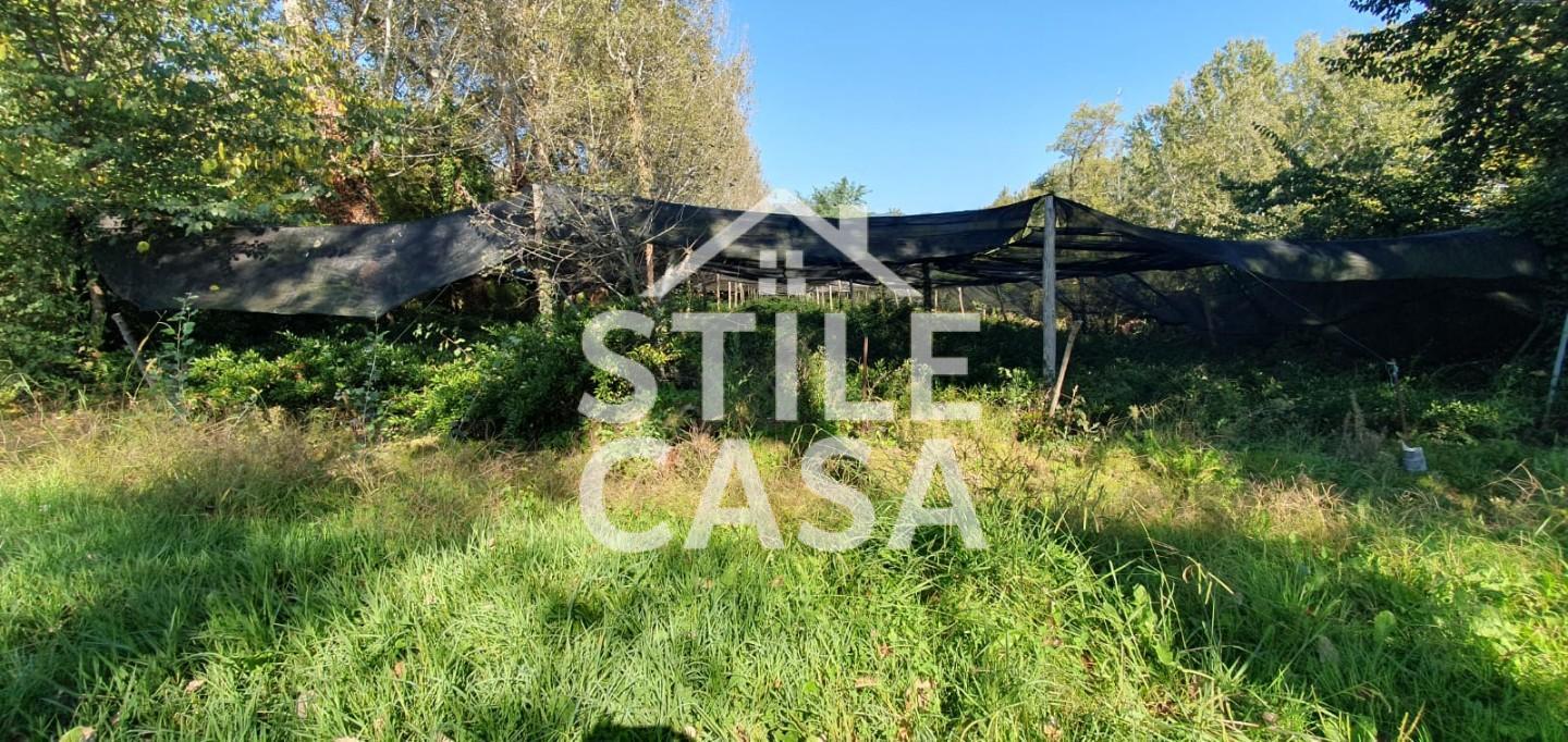 Terreno Agricolo in vendita, Capannori segromigno in piano