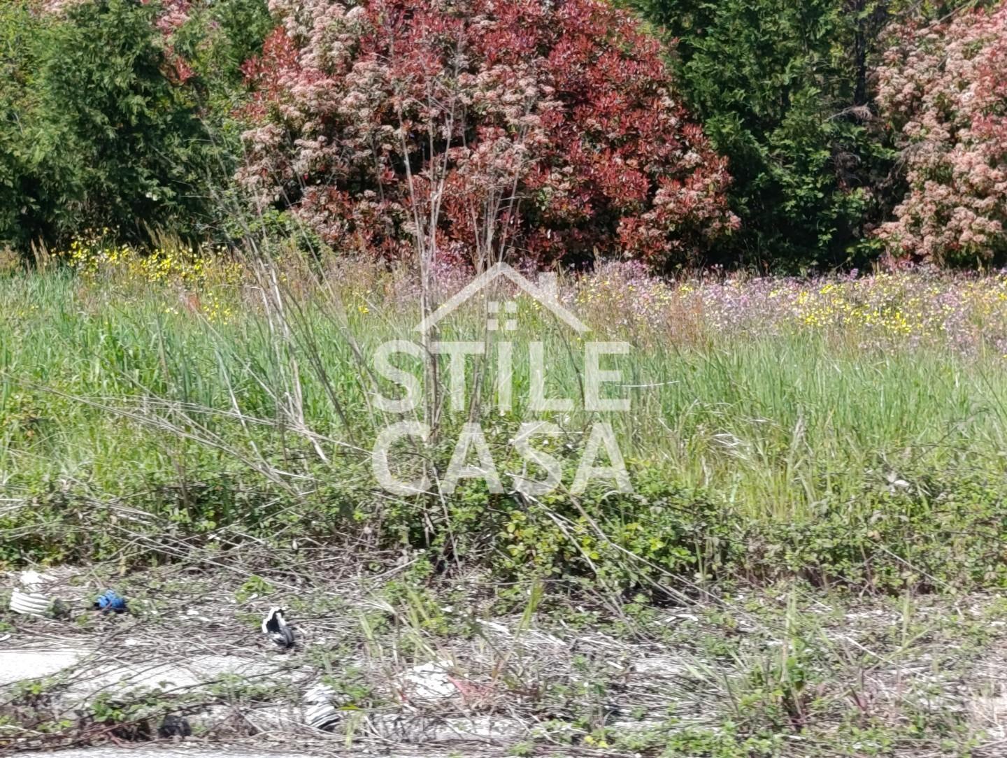 Terreno Edificabile in vendita, Castelfranco di Sotto orentano