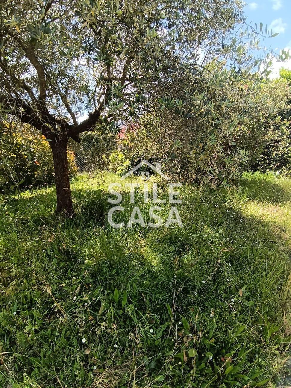 Casa indipendente con giardino a Altopascio