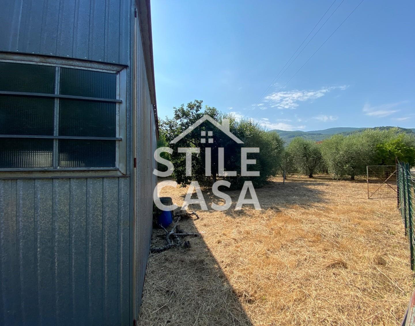Terreno Agricolo in vendita a Buti