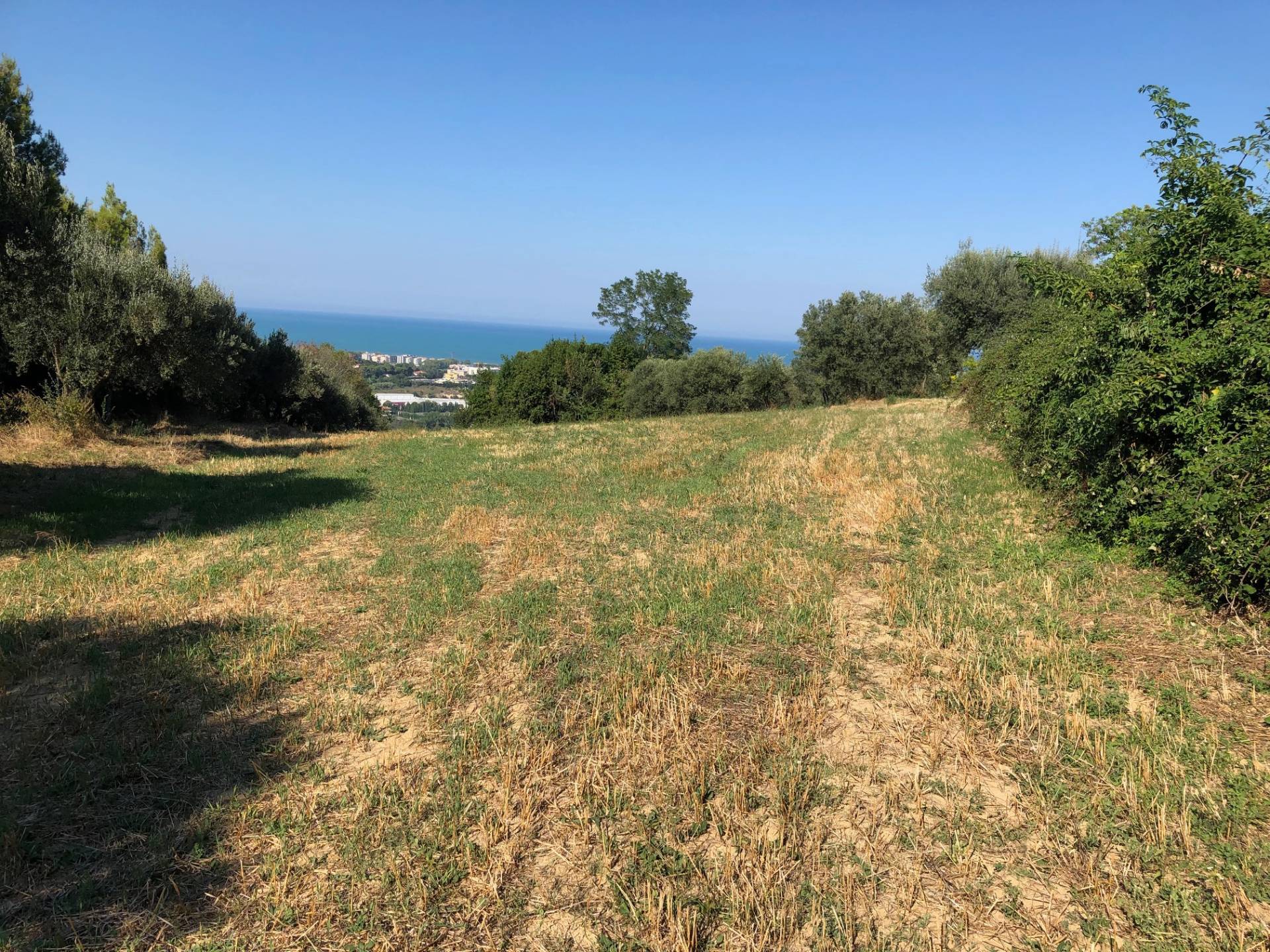 Terreno vista mare, Mosciano Sant'Angelo maggi