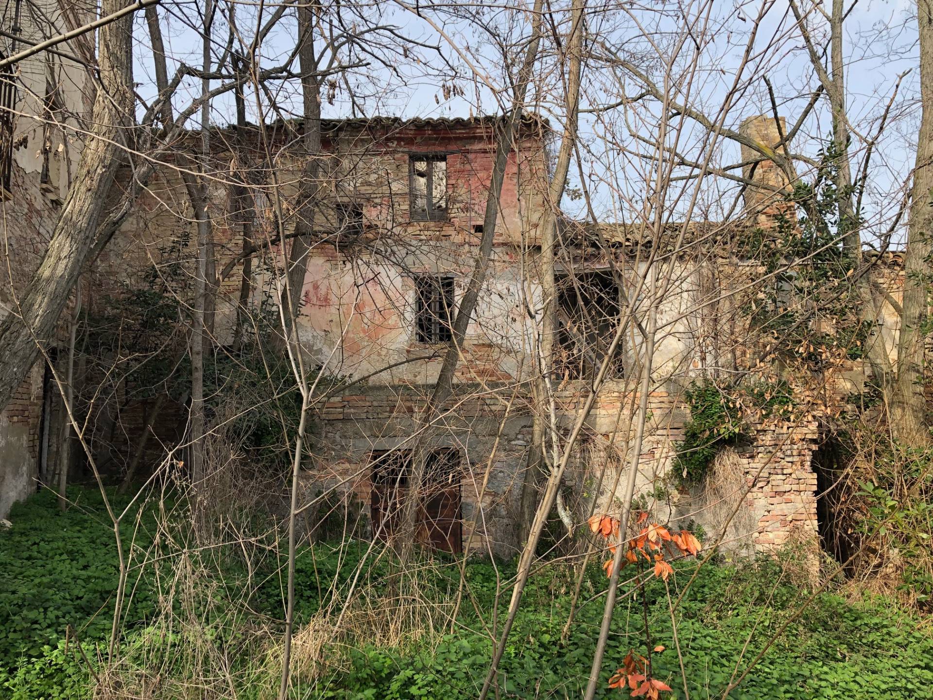 immagine annuncio 6 di 9