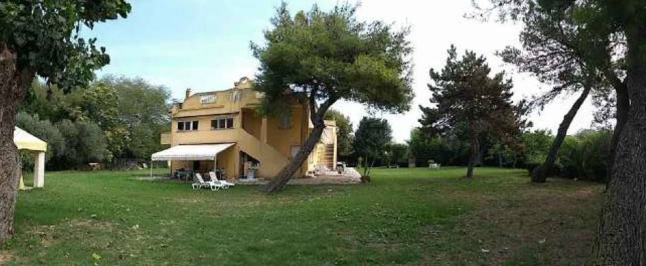 immagine annuncio 1 di 6