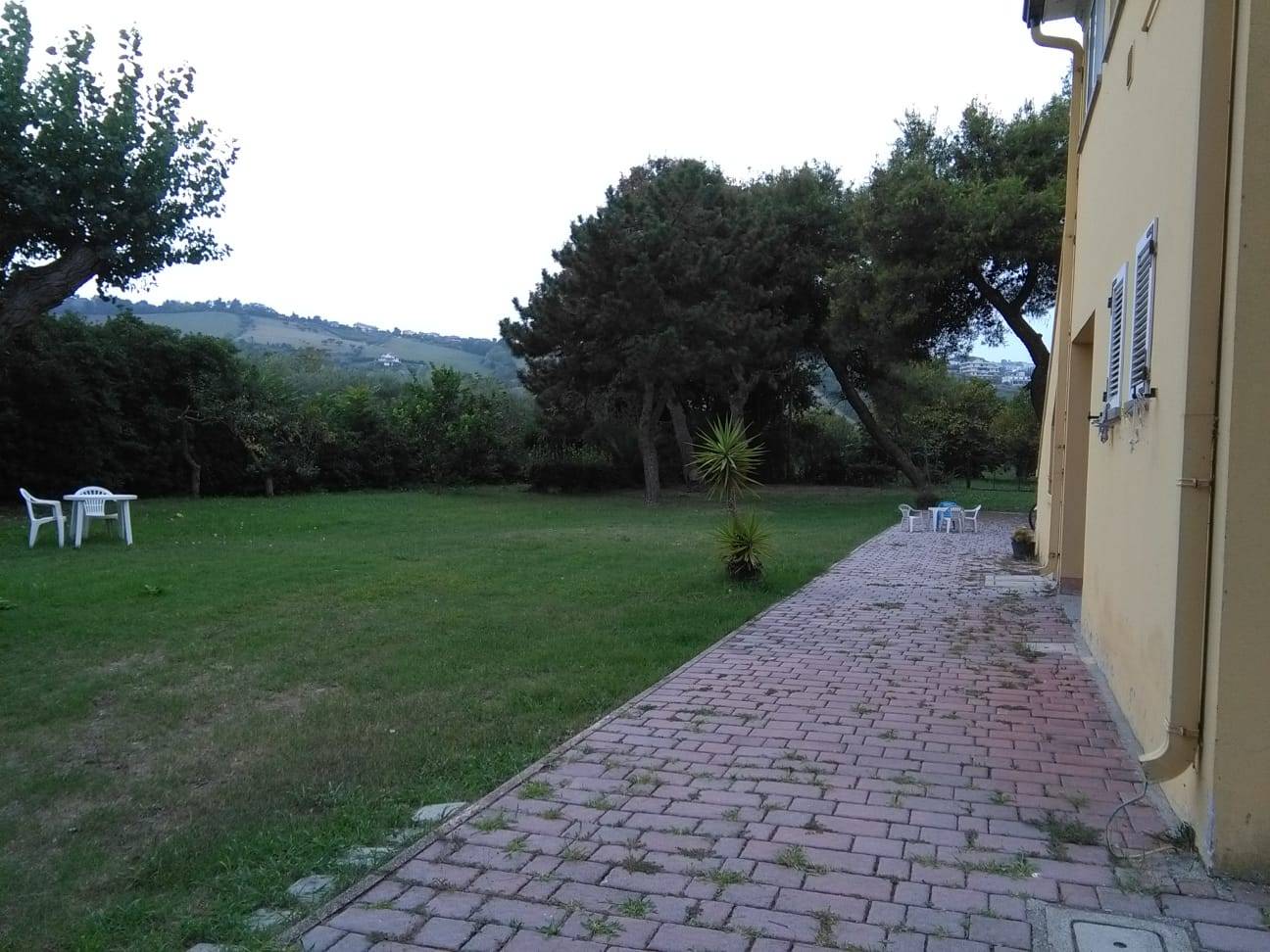 immagine annuncio 5 di 6