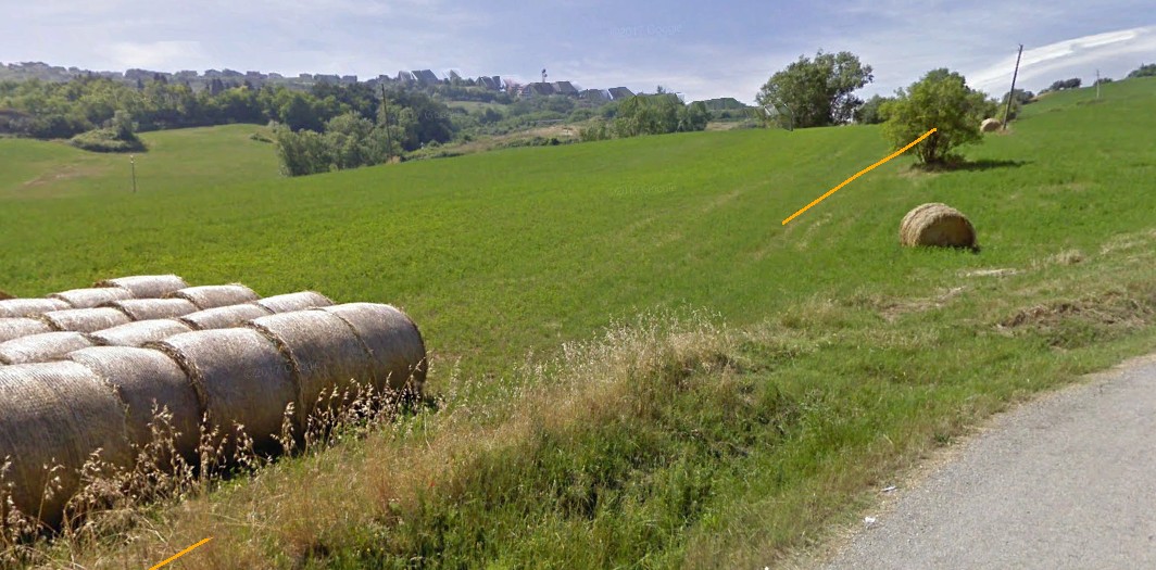 immagine annuncio 3 di 6