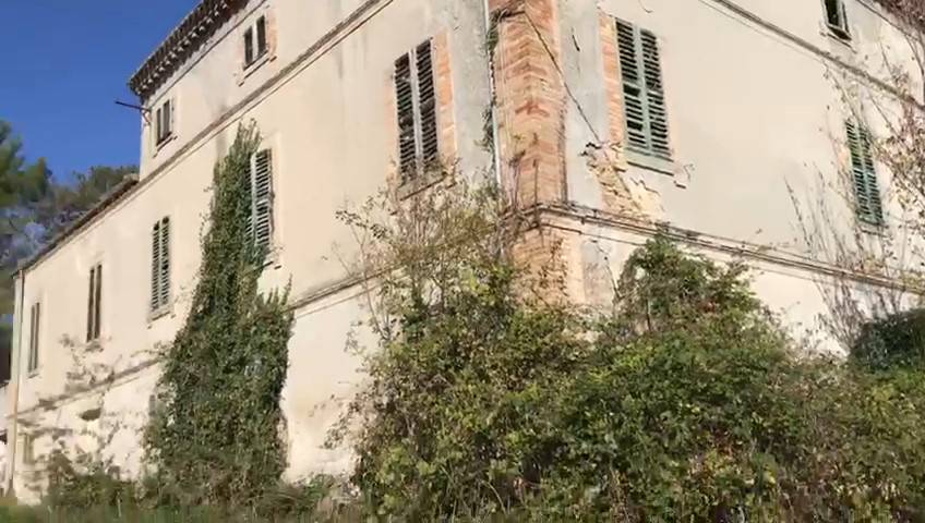 immagine annuncio 1 di 6
