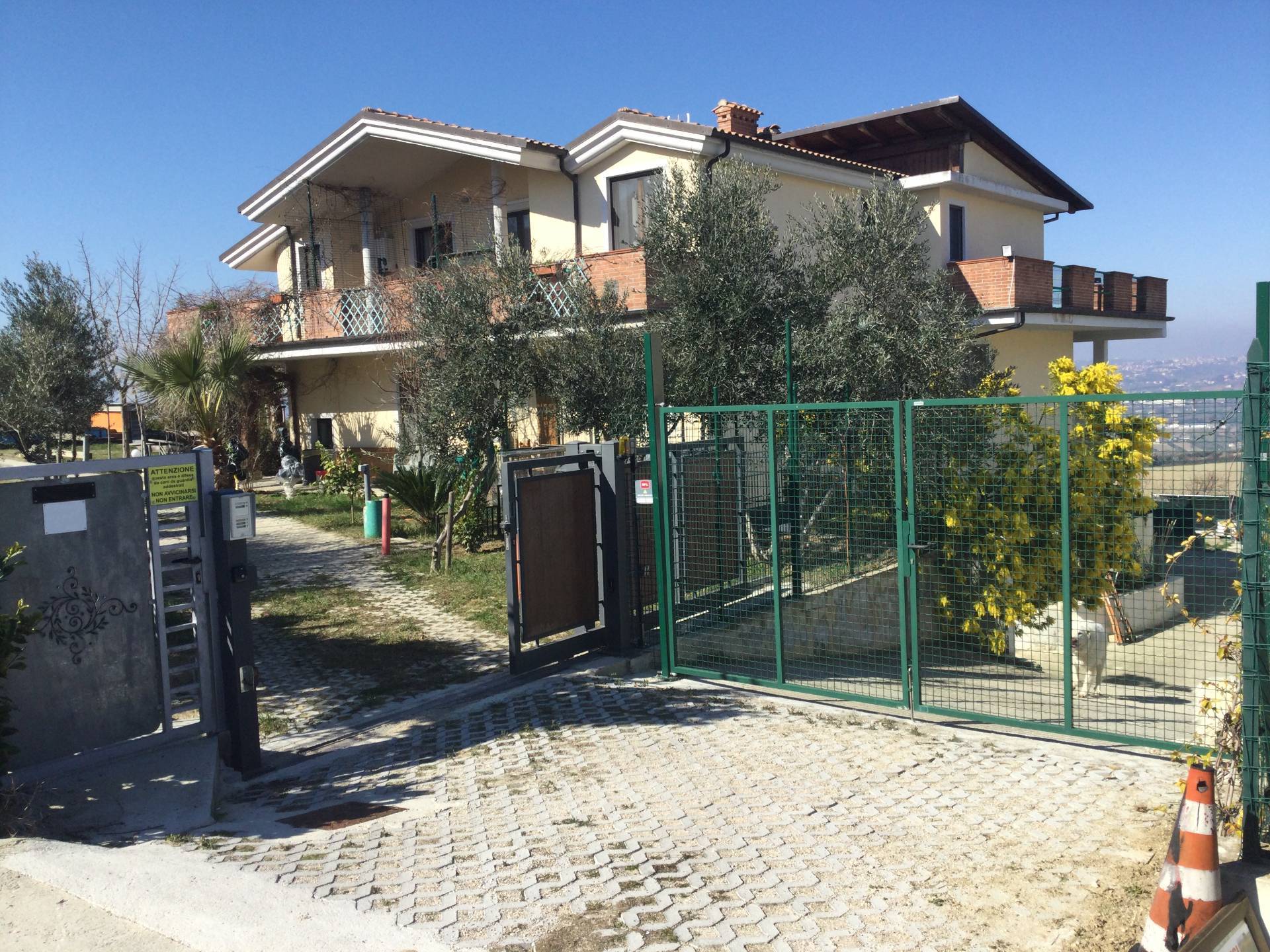 immagine annuncio 1 di 6
