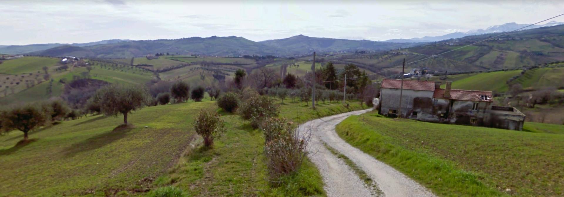immagine annuncio 3 di 6