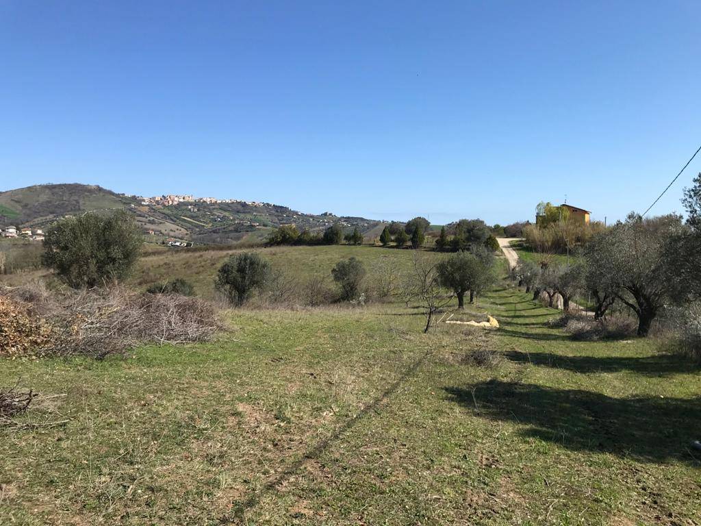 immagine annuncio 5 di 6