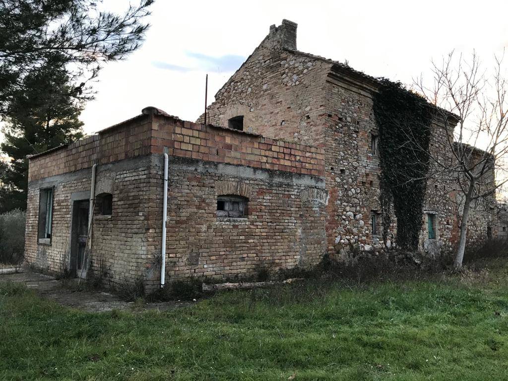 immagine annuncio 2 di 6