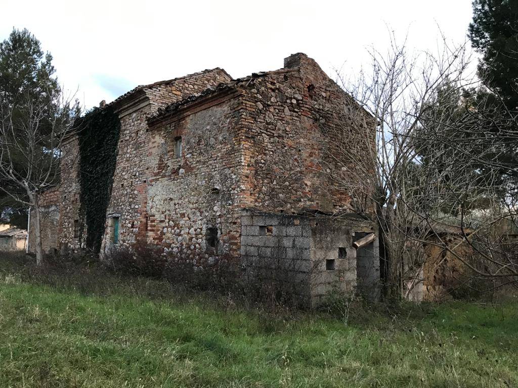 immagine annuncio 3 di 6