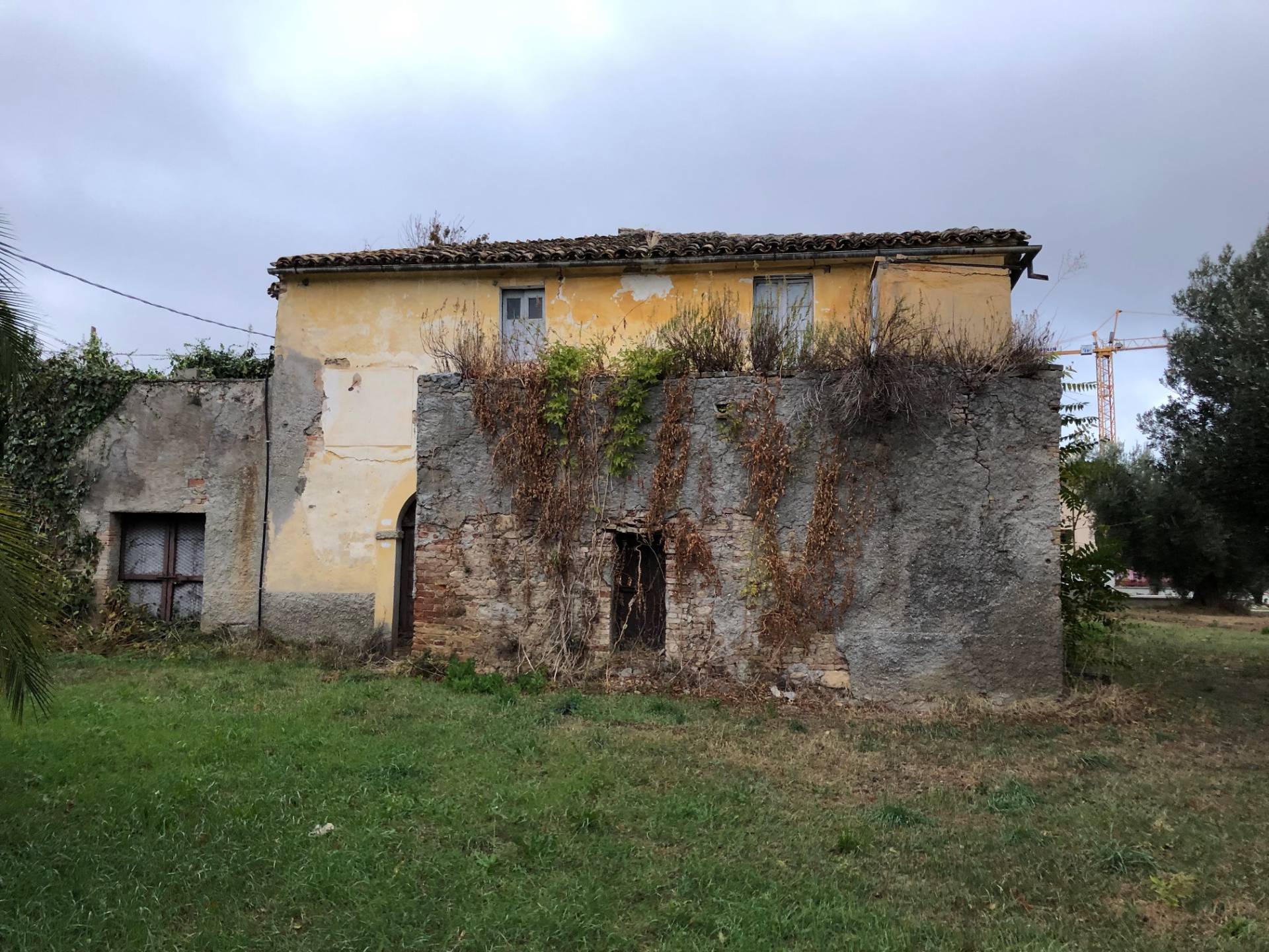 immagine annuncio 4 di 6
