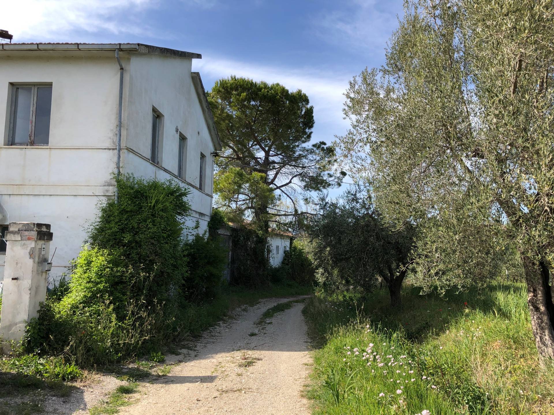 immagine annuncio 2 di 10