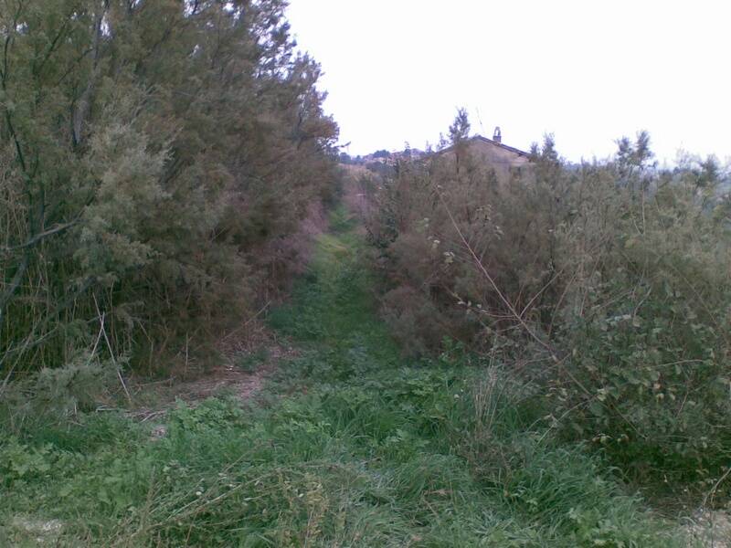 immagine annuncio 7 di 9